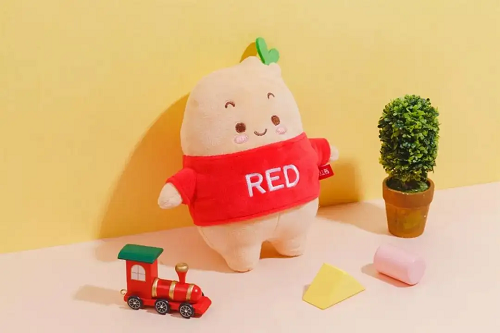 小紅書文案怎么寫才能打動(dòng)人心?